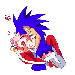 amy rose from sonic (series) by fred perry