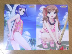 2girls amamiya_momona beach bikini bikini_top blue_eyes blue_hair boin brown_hair cleavage female female_focus female_only green_eyes happoubi_jin highres koromogae_maya multiple_girls one-piece_swimsuit photo_(medium) picture_of_picture resized resort_boin short_hair swimsuit