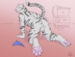 Anthro Rule 34 Image