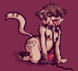 all_fours anthro body_writing collar domestic_cat felid feline felis genitals leash looking_at_viewer male mammal pasties penis petplay poco_(pocoloco_coon) roleplay solo teito_(teitoryu) teitoryu tongue tongue_out writing_on_butt