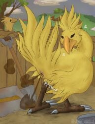 ambiguous_gender avian chocobo cloaca fart farting feral final_fantasy wolftacos yellow_feathers