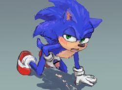 4_ira anthro blush bodily_fluids cum cum_on_ground eulipotyphlan genital_fluids genitals hedgehog male male_only mammal masturbation penile penile_masturbation penis sega solo solo_male sonic_(series) sonic_the_hedgehog sonic_the_hedgehog_(series)