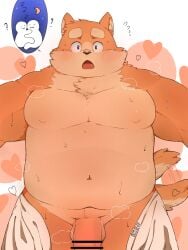 2022 anthro balls belly big_belly blush canid canine canis censored domestic_dog genitals heart hi_res kemono male mammal moobs navel nipples overweight overweight_male penis towel yobinira206