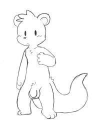 anthro blush cute ferret flaccid flaccid_penis fur furry genitals long_tail male male_focus male_only mammal naked nude oob original_character paws penis pubic_tuft serious simple_eyes sketch tagme tail unknown_character white_background