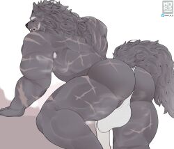 2022 anthro armpit_hair ass bent_leg bent_over big_bulge big_butt big_muscles blaidd_(elden_ring) blush body_hair bottomwear bulge canid canine canis clothing elden_ring eyebrows fromsoftware fur furry hi_res huge_bulge huge_butt huge_muscles loincloth looking_back male male_focus male_only male_solo mammal mors_k muscular muscular_anthro muscular_male narrowed_eyes perineum scar simple_background solo solo_male teeth thick_thighs thong tuft underwear video_games watermark white_background wolf