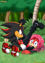 Sonic (Series) Rule 34 Image