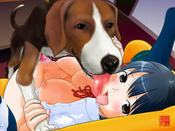 bb blue_eyes blue_hair blush bottomless breasts canine censored couch cum female_kissing_feral footwear happy_sex huge_breasts kissing knot large_breasts machino_henmaru missionary no_panties open_clothes open_shirt pussy saliva sex shirt socks sweat tongue vaginal_penetration wallpaper zoophilia