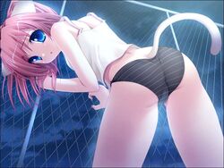 13cm against_fence animal_ears ass bent_over black_panties blue_eyes camisole cat_ears catgirl chainlink_fence faye_mcclintock female fence game_cg inuzumi_masaki looking_back natsume_eri neko_kawaigari! nekokawaigari night open_mouth outdoors panties pink_hair short_hair solo striped striped_panties tail underwear