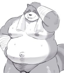 2022 anthro bandage belly big_belly bodily_fluids canid canine genitals hi_res humanoid_hands kemono male mammal moobs navel nipples overweight overweight_male penis raccoon_dog simple_background solo sv_grart sweat tanuki towel towel_around_neck