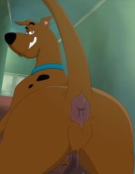 scooby-doo (character) from hanna-barbera by dangerdoberman