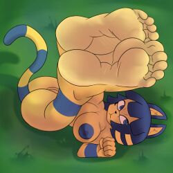 5_toes animal_crossing ankha anthro big_breasts breasts domestic_cat feet felid feline felis female foot_focus hi_res humanoid_feet looking_at_viewer mammal maskedcube nintendo nude soles toes video_games