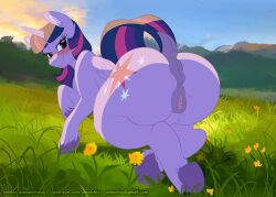 amaichix anus ass big_butt detailed_background equid equine female feral friendship_is_magic genitals grass hair looking_back mammal my_little_pony outside plant purple_hair pussy raised_tail solo twilight_sparkle_(mlp)