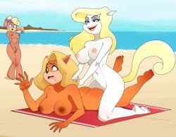 absurd_res activision animaniacs anthro bandicoot barefoot beach big_breasts blonde_hair blush breasts brown_body coco_bandicoot crash_(series) crossover feet female group hair hi_res lipstick makeup mammal marsupial massage minerva_mink mink mustelid musteline nipples nude rodjim seaside smile tawna_bandicoot trio true_musteline video_games voyeur warner_brothers white_body