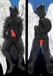 anus canid canine canis dakimakrua genitals hi_res hole_(disambiguation) knot mammal penis piercing wings wolf