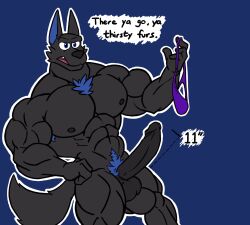 1boy abs anthro armpit_hair balls black_body black_fur blue_eyes blue_hair body_hair canid canine canis chest_tuft clothing encorejackal erection fur genitals hair hi_res humanoid_genitalia humanoid_penis jackal male male_only mammal muscular muscular_male nude pecs penis pubes solo speech_bubble thong tuft underwear undressing zak_(encorejackal)