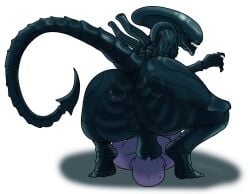 alien alien_(franchise) anon anthro ball_sniffing balls big_butt binkykun bodily_fluids bubble_butt butt dead_by_daylight genitals hi_res huge_butt human male male/male mammal sharp_teeth simple_background sniffing sweat tail tea_bagging teeth white_background xenomorph