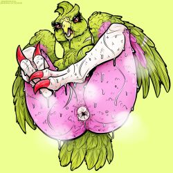 1:1 afoxywitch animal_genitalia anthro ass avian bird bodily_fluids cloaca cloaca_juice fakémon feathered_wings feathers female genital_fluids genitals hi_res solo steam sweat sweaty_butt winged_arms wings