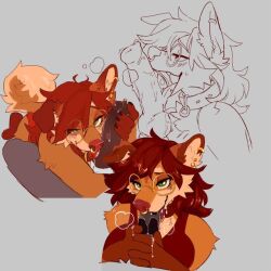 1boy 1boy1girl 1girls anthro blowjob blush canine collar drool drooling drooling_cum drooling_on_penis ear_piercing embarrassed female fluffy fluffy_tail fox furry glasses gold_glasses infatuation knot male oral