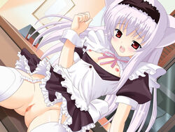 animal_ears breasts cat_ears female fujimiya_rin game_cg maid mutsumi_masato no_panties panties panty_pull pussy solo thighhighs uncensored underwear white_legwear yokubari_saboten