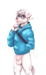 animal_genitalia anthro balls bastionshadowpaw bottomless canid canine casual casual_nudity clothed clothing eyewear genitals glasses hi_res hoodie male male_only mammal sheath simple_background solo topwear white_background