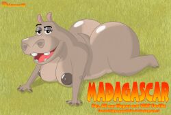 anthro ass belly big_belly big_breasts big_butt breasts chubby_female common_hippopotamus curvaceous curvy_figure dreamworks female gloria_the_hippopotamus hi_res hippopotamid madagascar_(series) mammal nipples nude overweight seductive smile solo text thick_thighs voluptuous wasileus