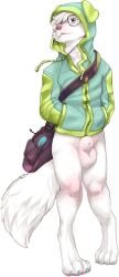 absurd_res animal_genitalia anthro balls bastionshadowpaw bottomless canid canine casual casual_nudity clothed clothing eyewear genitals glasses hand_in_pocket hi_res hoodie male mammal pockets sheath simple_background solo topwear white_background