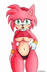 1girls amy_rose big_breasts big_nipples breasts furry looking_at_viewer nipples panties sonic_(series) soteyhime tight_clothing