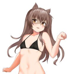 absurdres animal_ears bangs bikini bikini_top bikini_top_only black_bikini blush breasts brown_hair cat_ears cat_girl collarbone commentary_request eyebrows_visible_through_hair female female_only girls'_frontline hair_ornament hair_over_shoulder hako_reeema head_tilt highres kemonomimi_mode light-skinned light-skinned_female light_skin long_hair navel one_side_up open_mouth parted_lips paw_pose scar scar_across_eye scar_on_face shaded_face simple_background small_breasts smile solo solo_female stomach string_bikini swimsuit ump45_(girls'_frontline) upper_body white_background yellow_eyes