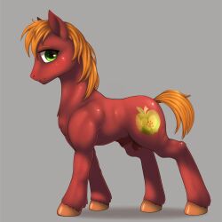 Big Macintosh (Mlp) Rule 34 Image