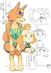 1boy 2023 2girls animal_crossing ass ass_slap audie_(animal_crossing) big_ass breasts canine closed_eyes dog_ears dog_girl dog_tail furry haramikarubi isabelle_(animal_crossing) japanese_text navel nintendo nipples orange_body orange_fur orange_hair pawpads paws simple_background slap slapping_butt sunglasses sunglasses_on_head swimwear tail thought_bubble villager_(animal_crossing) wolf wolf_ears wolf_girl wolf_tail yellow_body yellow_fur yellow_hair