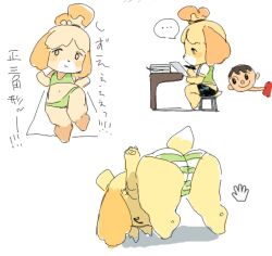 ... 1boy 2023 animal_crossing ass big_ass bikini brown_hair canine dog dog_ears dog_girl dog_tail female flat_chest furry haramikarubi isabelle_(animal_crossing) japanese_text male navel nintendo orange_fur orange_hair pawpads simple_background tail villager_(animal_crossing) yellow_body yellow_hair