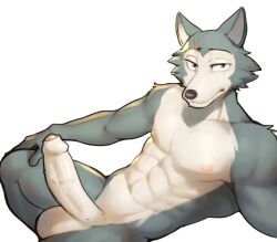 2024 abs anthro athletic athletic_anthro athletic_male balls beastars canid canine canis erection fur genitals grey_body grey_fur hi_res humanoid_genitalia humanoid_penis jrjresq legoshi_(beastars) looking_at_viewer male male_only mammal multicolored_body multicolored_fur nude penis scar solo two_tone_body two_tone_fur wolf