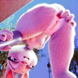 3d animated anthro areola ass blender buckteeth disney eyelashes female female_only fur furry grey_body grey_fur judy_hopps lagomorph leporid mammal nipple_piercing nipples no_sound piercing pochemu purple_eyes pussy rabbit spread_ass spreading tagme tail teeth video zootopia