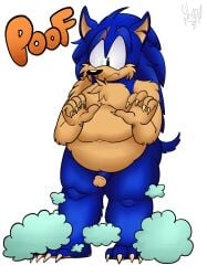 absurd_res anthro eulipotyphlan fan_character hedgehog hi_res male mammal overweight overweight_anthro overweight_male sega shadydaone solo sonic_(series) sonic_the_hedgehog sonic_the_hedgehog_(series) ych_(character)