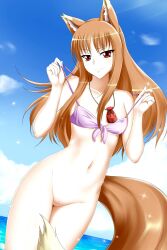 1girls animal_ears bikini_top_only bottomless holo kimmy77 looking_at_viewer navel red_eyes small_breasts spice_and_wolf standing_in_water swimsuit vagina wolf_ears wolf_girl wolf_tail