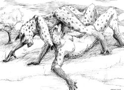 2003 2boys anthro ayame_emaya black_and_white canid canine fellatio furry gay hyena male male/male male_focus male_only oral oral_sex penis penis_in_mouth traditional_art traditional_media traditional_media_(artwork) yaoi