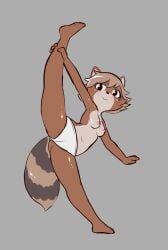 anthro breasts brown_body camel_toe canid canine clothed clothing e254e female flexible genital_outline hi_res looking_at_viewer mammal mtf_crossgender navel nipples on_one_leg one_leg_up panties panties_only pussy_outline raccoon_dog raised_leg rule_63 small_breasts smile solo splits spread_legs spreading standing tail tanuki topless underwear underwear_only