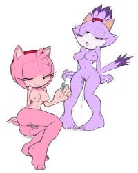 2girls amy_rose anthro anthro_only ass big_breasts blaze_the_cat breasts dripping dripping_pussy eyelashes eyeliner female female_only furry furry_only hi_res hintofmint large_breasts makeup medium_breasts medium_hair nipples nude ponytail pussy pussy_juice sega sex_toy simple_background sonic_(series) sonic_the_hedgehog_(series) tail teenager trembling vibrator white_background yuri