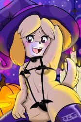 1girls animal_crossing anthro bat_bikini canine domestic_dog female female_only furry halloween hi_res isabelle_(animal_crossing) jack-o'-lantern jazzymongoose looking_at_viewer nintendo sling_bikini smiling smiling_at_viewer solo witch_hat