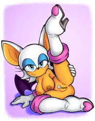rouge the bat from sega by mexicanjoe