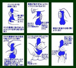 how_to japanese_text penis text translation_request what