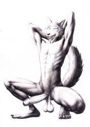 anthro balls beastars big_penis canid canine canis genitals hi_res humanoid_genitalia humanoid_penis legoshi_(beastars) looking_at_viewer male male_only mammal monochrome nude penis saggy_balls solo ten-kun wolf