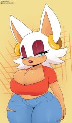 rouge the bat from sonic (series) by berkthejerk