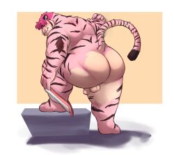 2022 absurd_res anthro ass balls big_butt facial_piercing felid genitals hi_res humanoid_hands lustyshu male mammal nose_piercing nose_ring overweight overweight_male pantherine penis piercing pink_body solo tiger