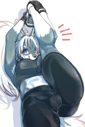 abstract_background armpit_tuft athletic_female big_breasts blue_eyes breasts cameltoe canine eyebrows_visible_through_hair female fully_clothed furry gloves grey_fur ookamiwaho shorts sneakers sports_bra stretching tagme white_hair wolf