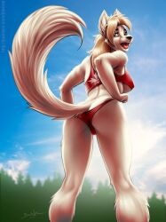 anthro arctic_fox bikini blonde_hair breasts canine clothed clothing female fox fur furry furry_only jeremy_bernal kaylee_(jeremy_bernal) looking_back red_bikini red_swimsuit sexyfur solo swimsuit tail underboob white_fur