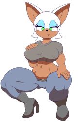 rouge the bat from sonic (series) by satcat