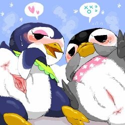 1:1 animal_crossing anthro anus aurora_(animal_crossing) avian bird blush bodily_fluids denmoko drooling duo edit female genitals gwen_(animal_crossing) heart looking_at_viewer looking_back low_res nintendo penguin presenting presenting_pussy pussy saliva sweat uncensored video_games