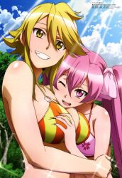 2girls akame_ga_kill! bra female female_only forest leone_(akame_ga_kill!) long_hair mine_(akame_ga_kill!) multiple_girls pink_bra pink_eyes pink_hair short_hair sparkles sunlight swimwear twintails underwear yellow_eyes yellow_hair