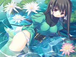 1girls barefoot belt black_hair blush breasts brown_hair cameltoe color dress dress_lift elf feet female female_only flower fullani game_cg green_dress hair_ribbon hands_on_feet highres kneeling lace-trimmed_panties lily_pad long_hair looking_down lowleg lowleg_panties mitsumi_misato nun panties pantyshot pointy_ears purple_eyes ribbon sheramirenu sierra_mylene solo submerged thighs underwear vip_quality wallpaper water water_lily wet wet_clothes white_panties